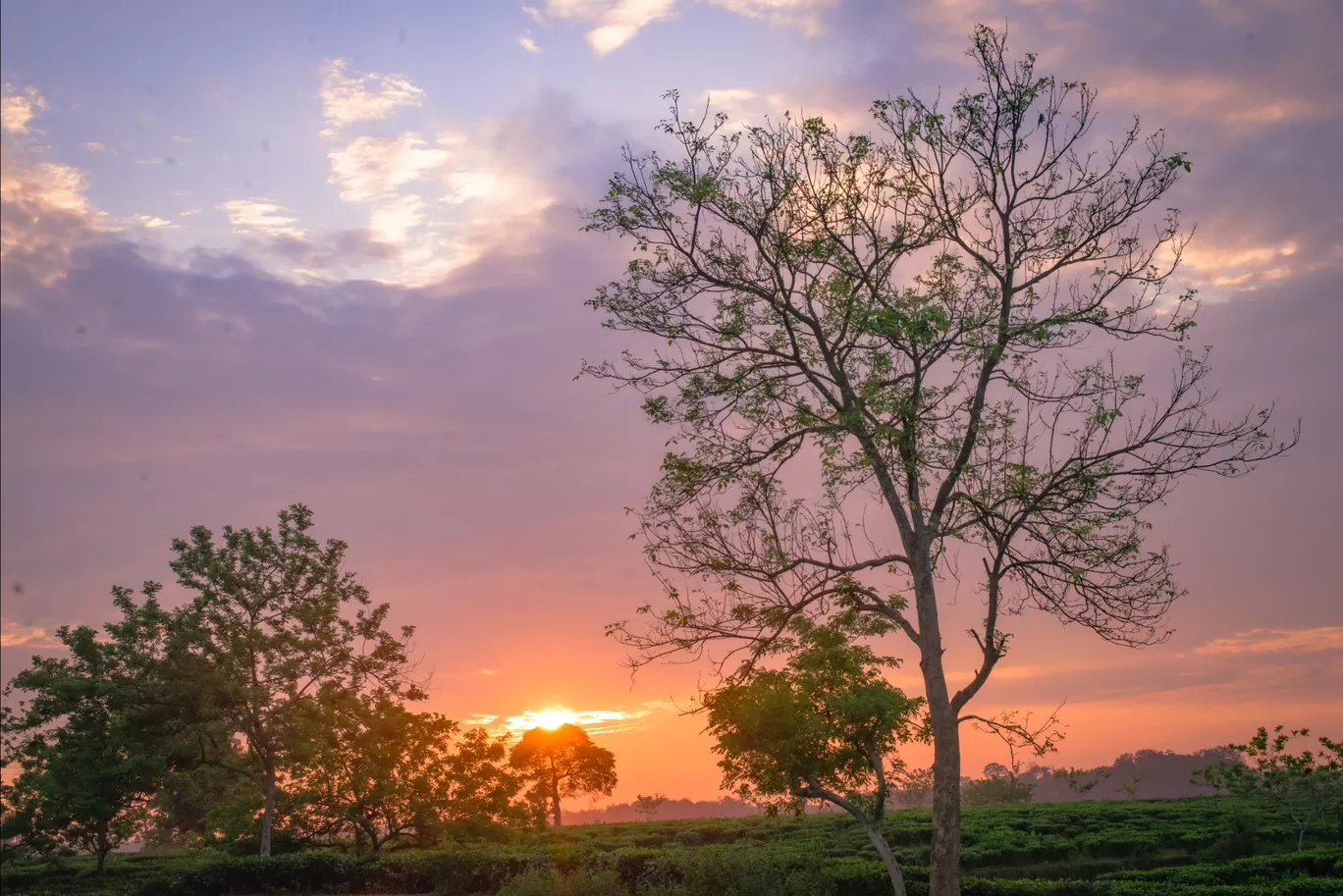 Photo of Assam By Arindam Kashyap