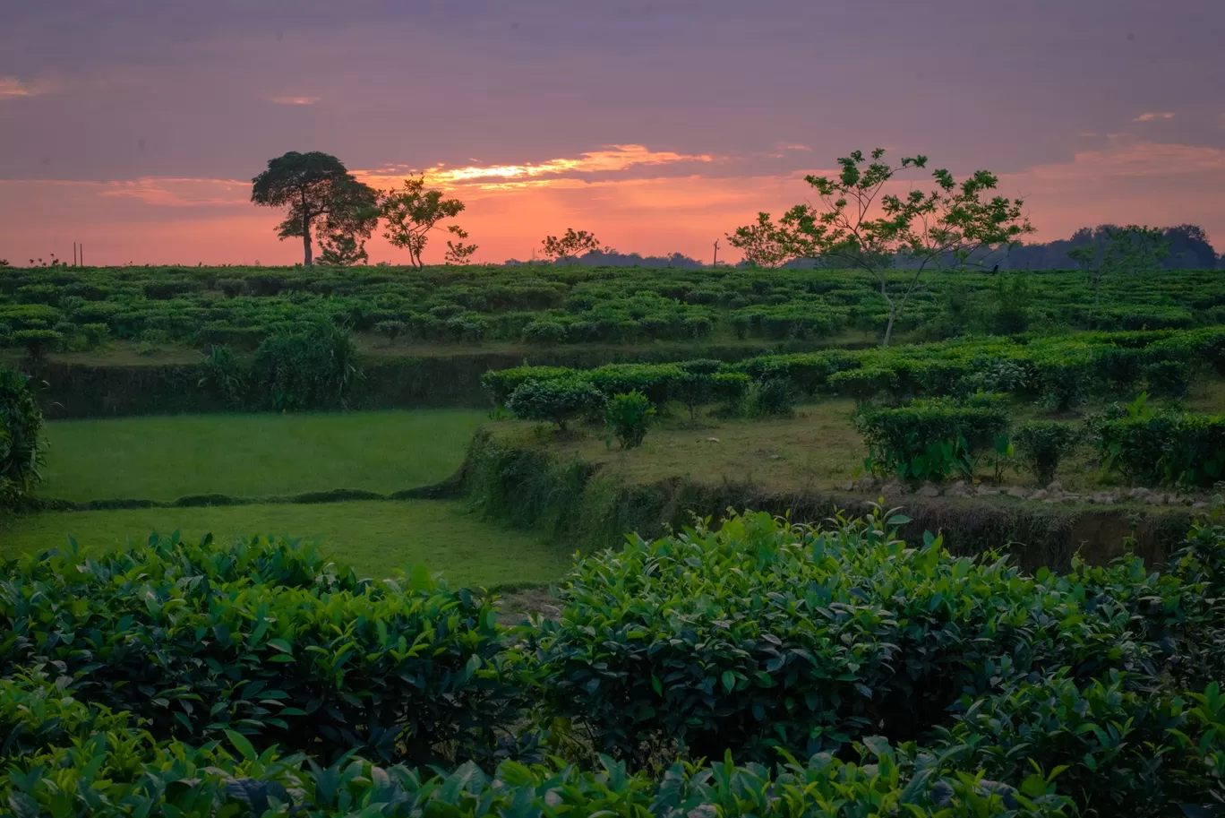 Photo of Assam By Arindam Kashyap