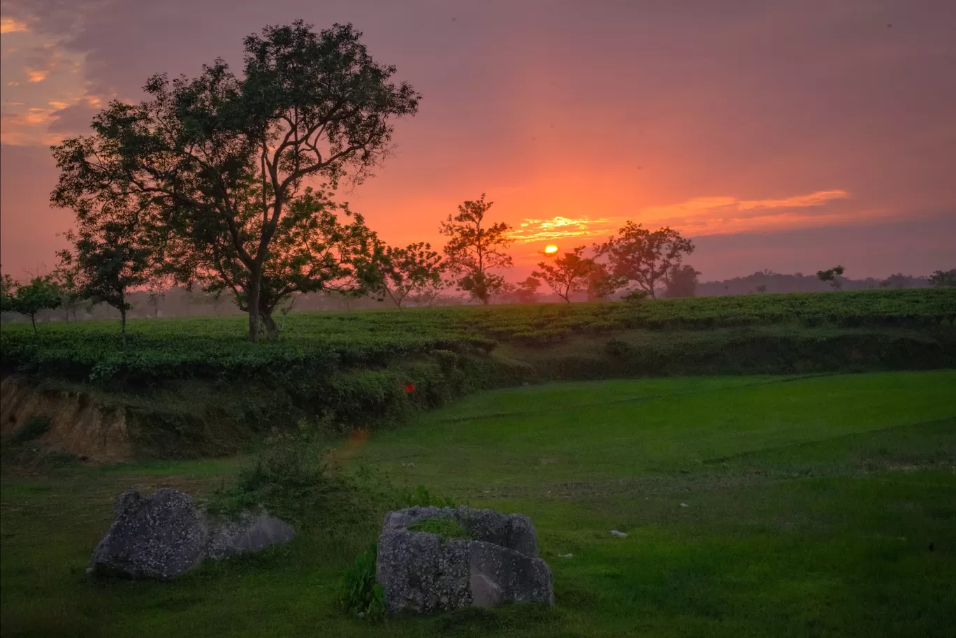 Photo of Assam By Arindam Kashyap