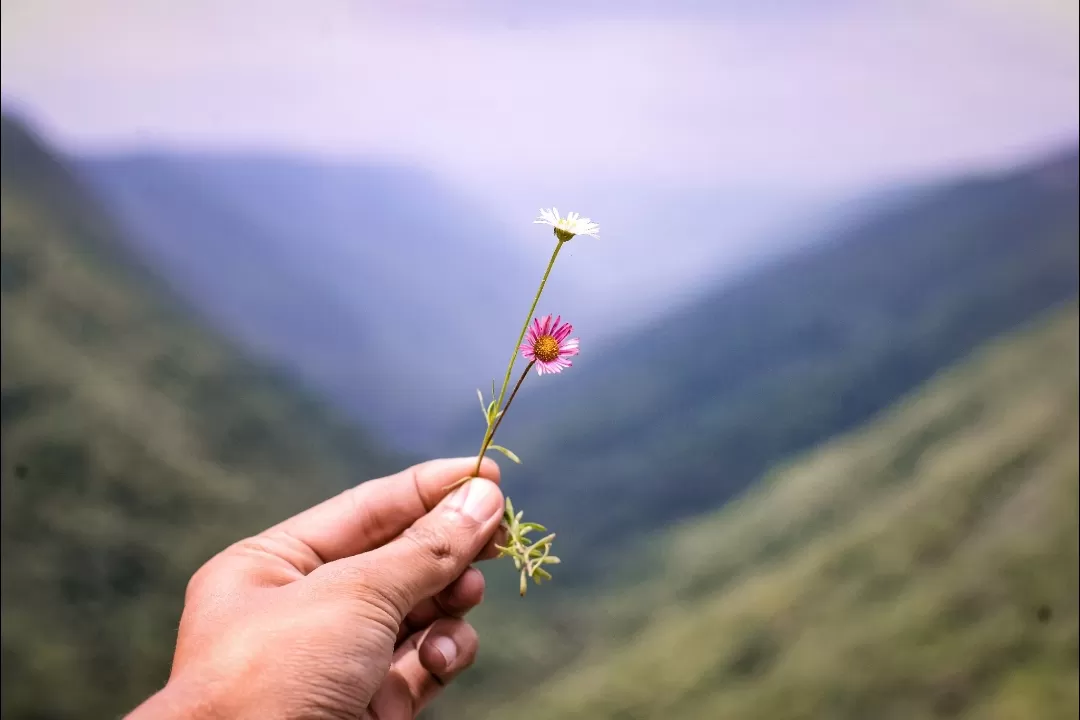 Photo of Meghalaya By Arindam Kashyap