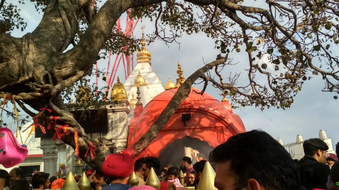 Photo of Naina Devi By Thakur Amal Kumar Soam