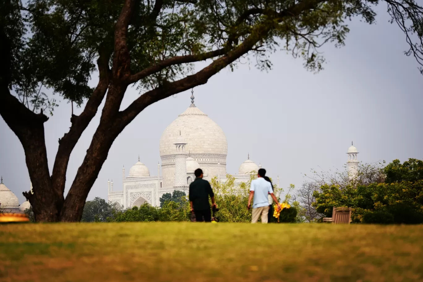 Photo of Taj Mahal By Pankaj Ghildiyal
