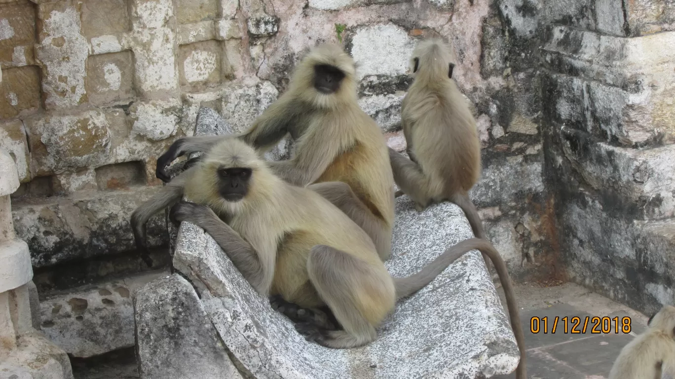 Photo of Ramtek By Soumen Bhaskar