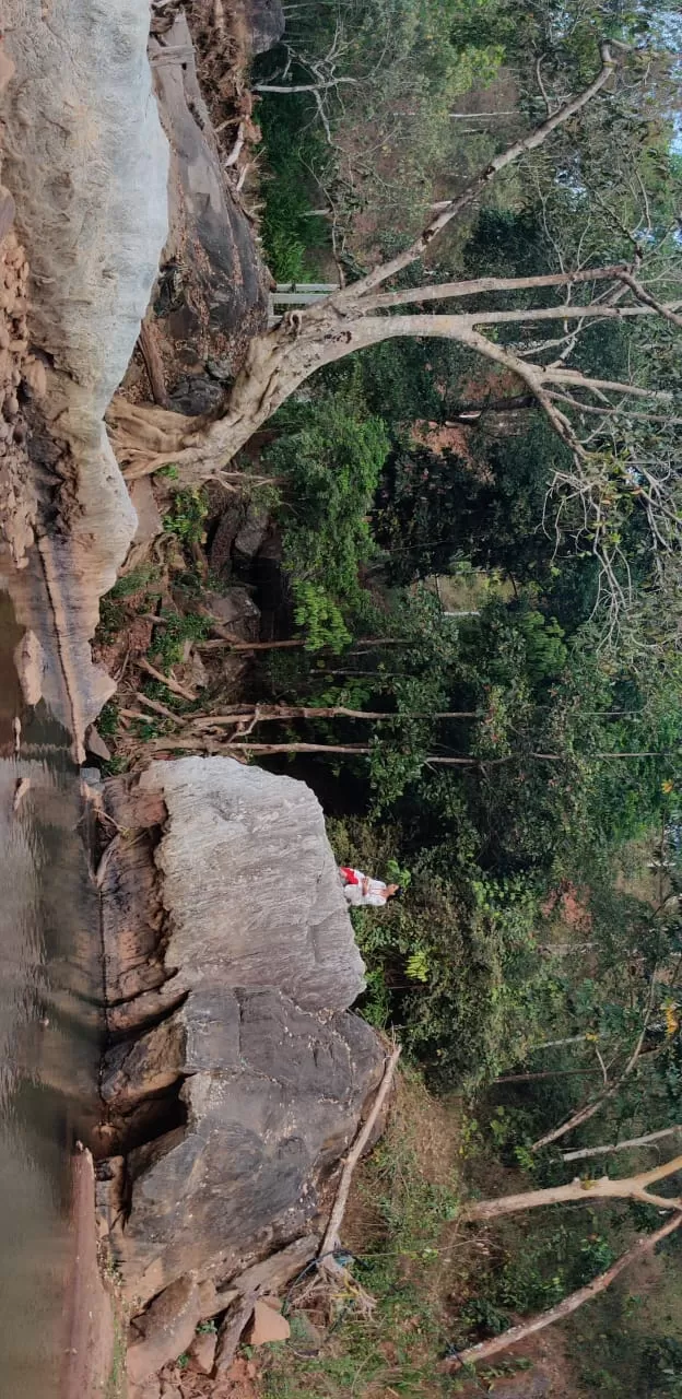 Photo of Vellarimala By nimmy raphi