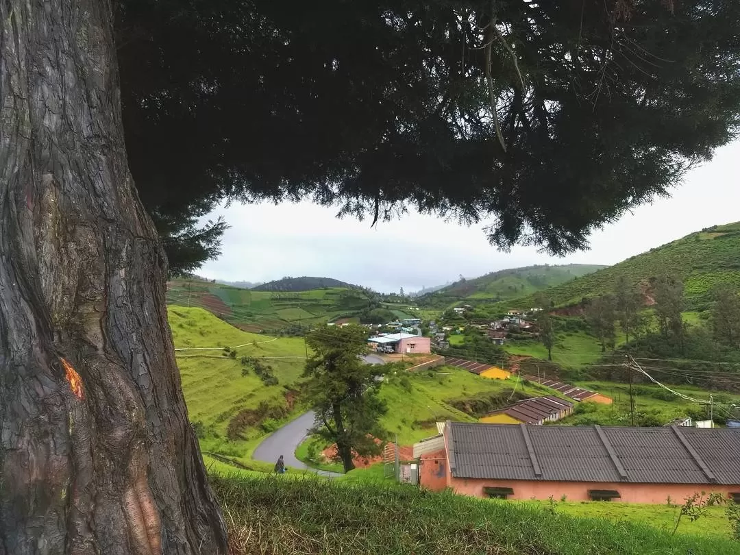 Photo of Destiny Farm Stay By Albert D'Souza