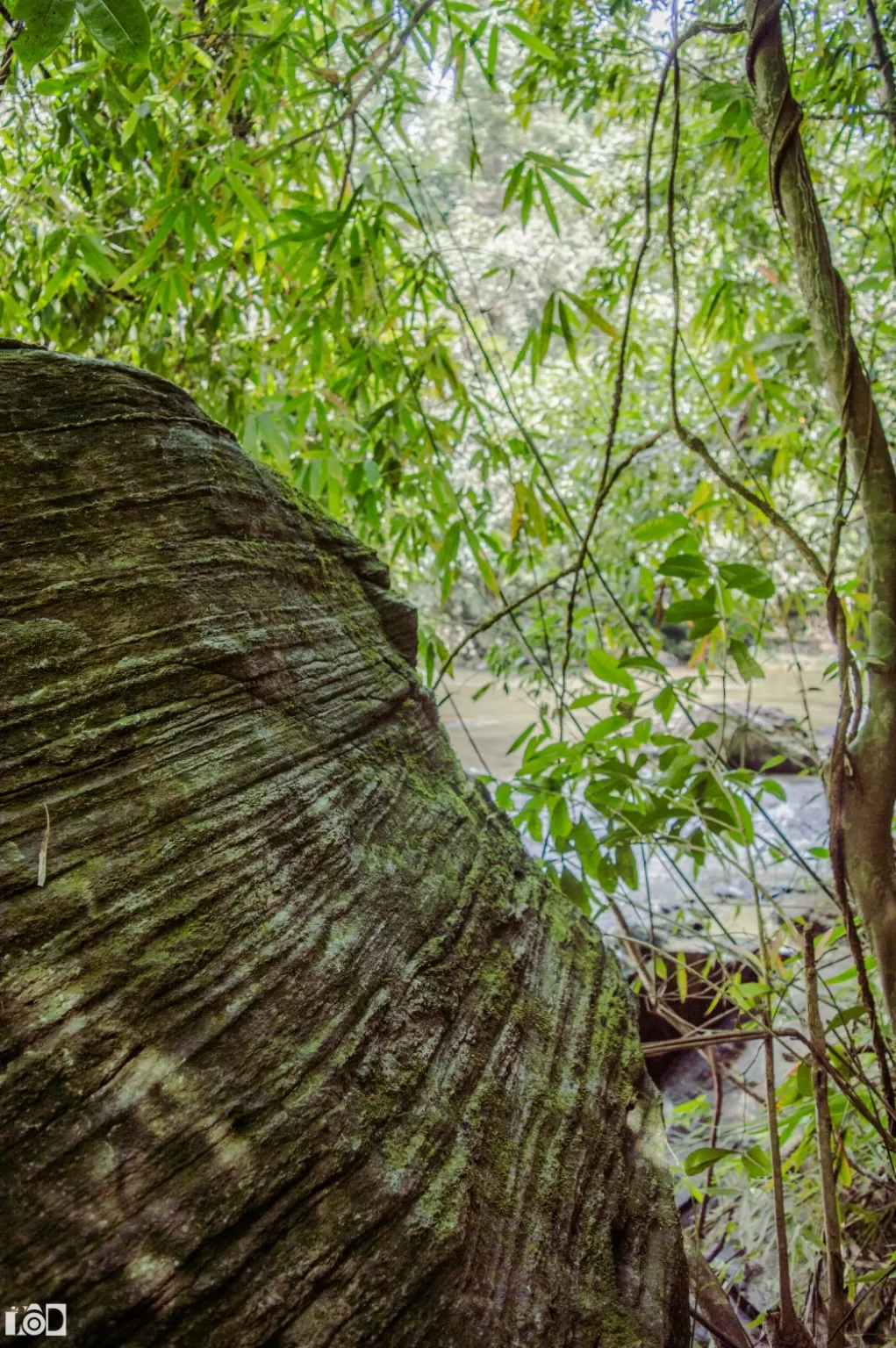 Photo of Sakleshpur By Albert D'Souza