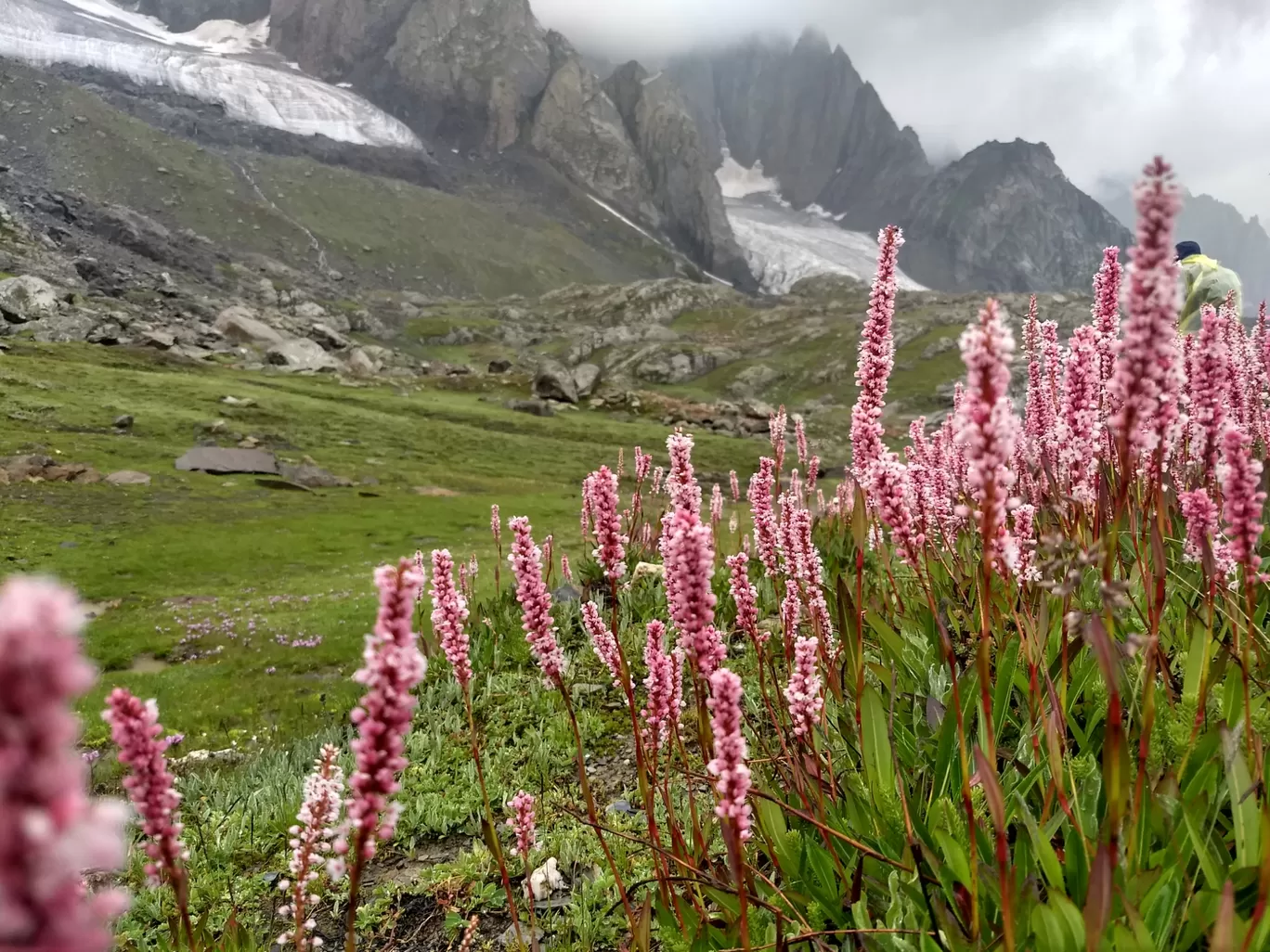 Photo of Kashmir Great Lakes Trek | Trekking In Kashmir By Albert D'Souza