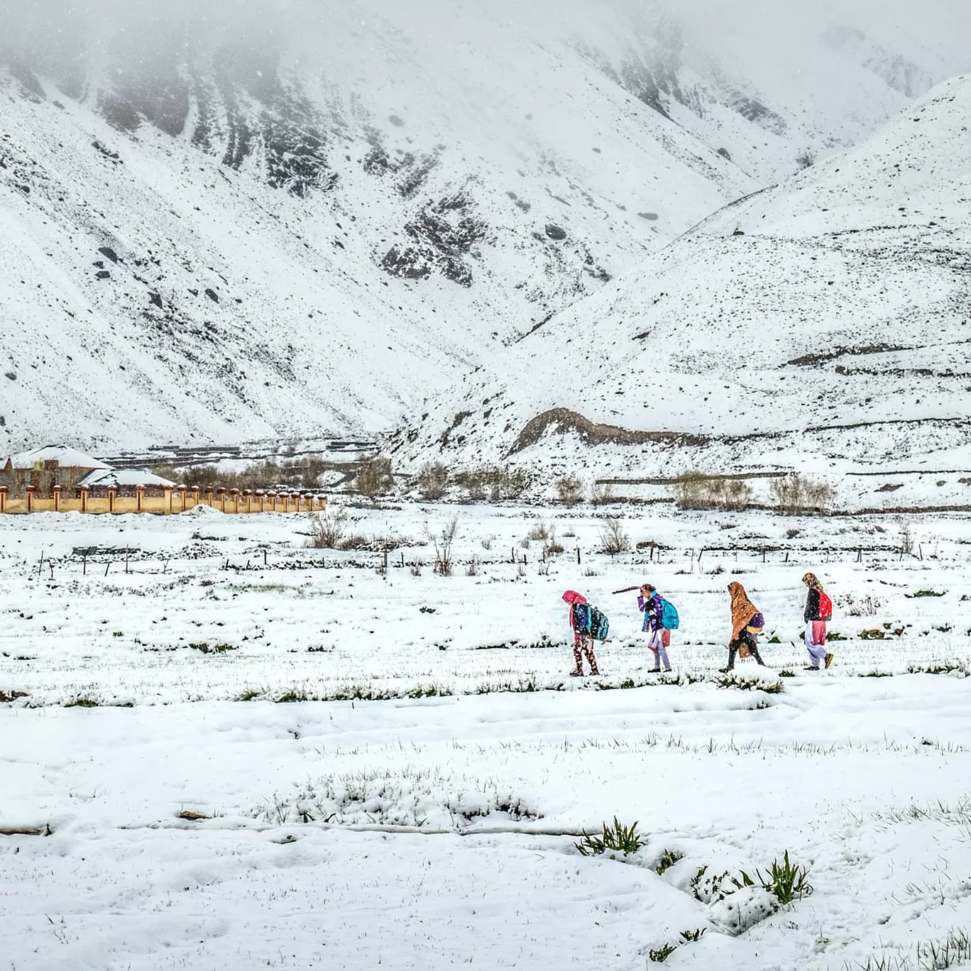 Photo of Spiti Valley By Albert D'Souza