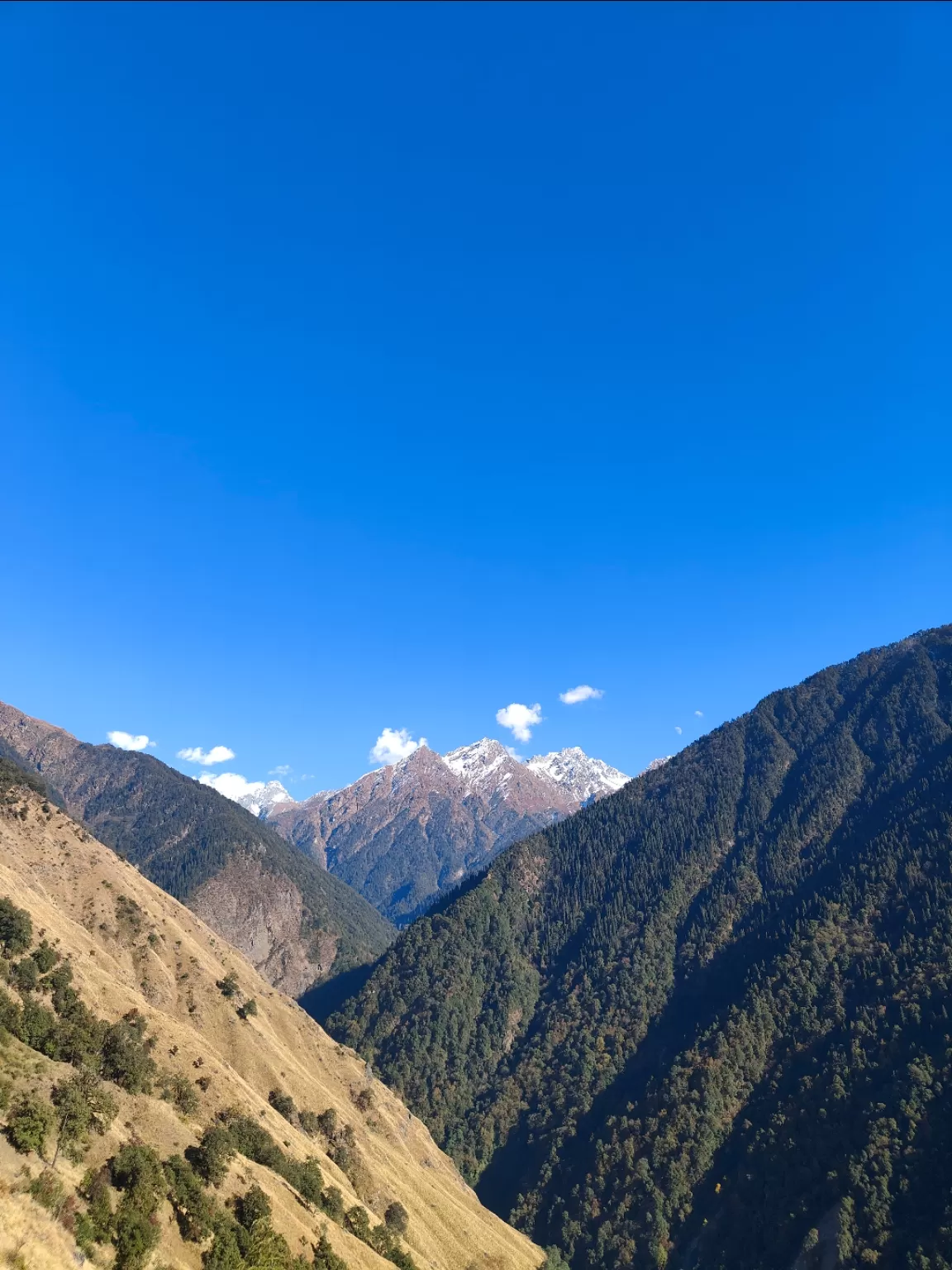 Photo of Madhyamaheshwar Temple Trek By Abhishek saini