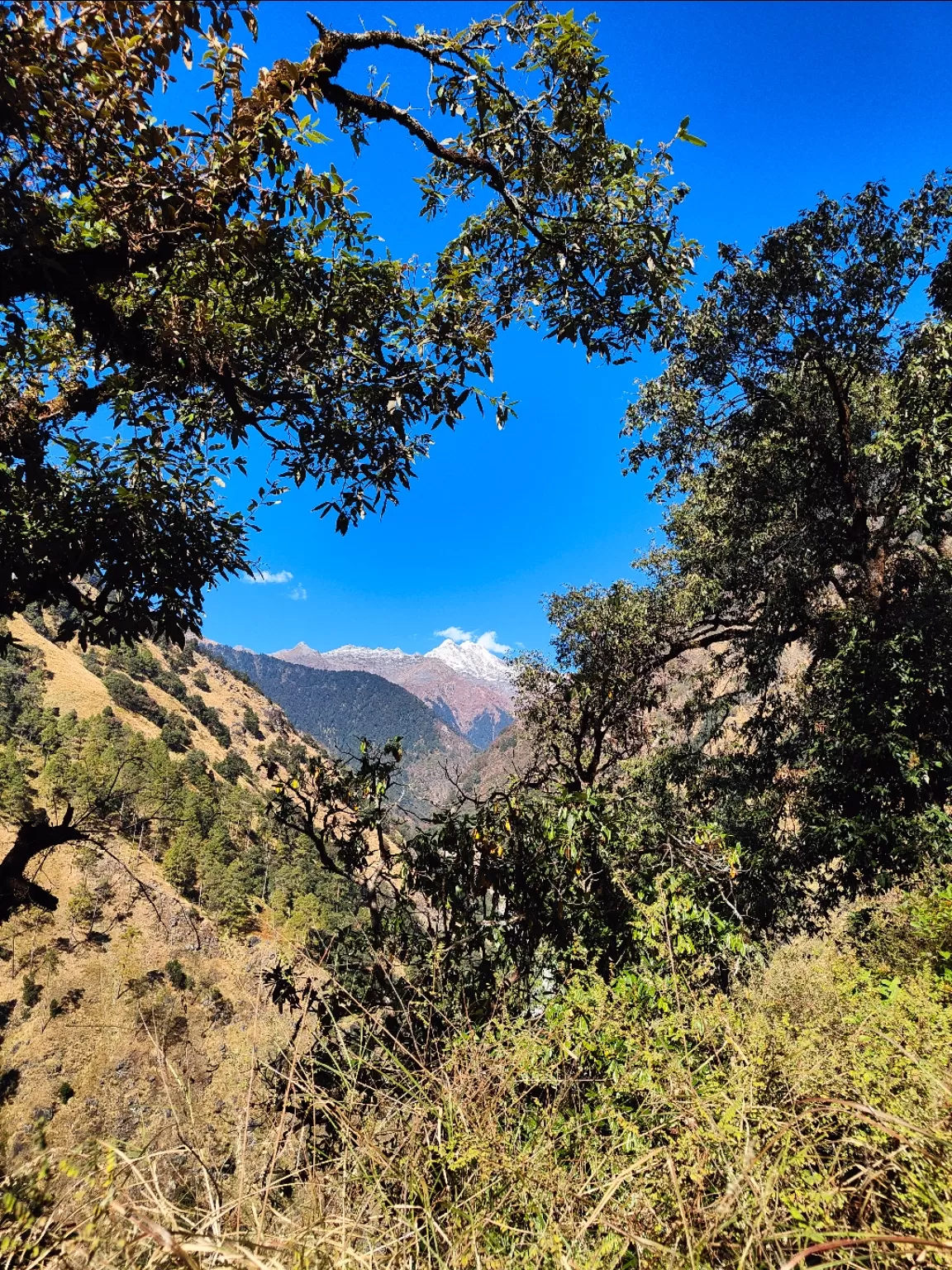 Photo of Madhyamaheshwar Temple Trek By Abhishek saini