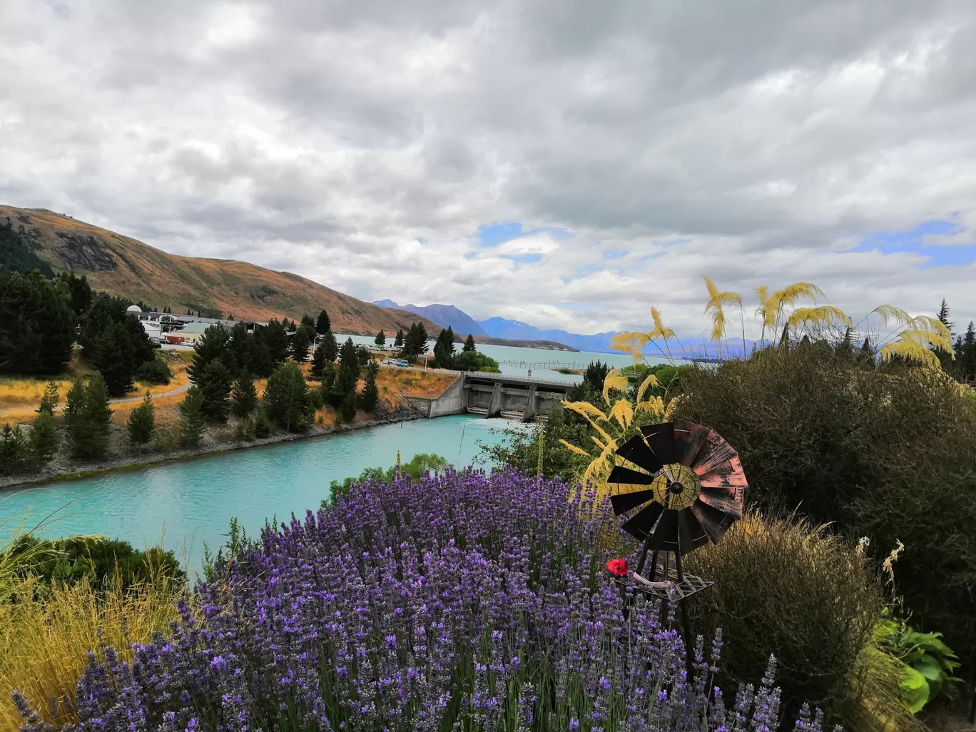 Photo of New Zealand By Abhirup Paul