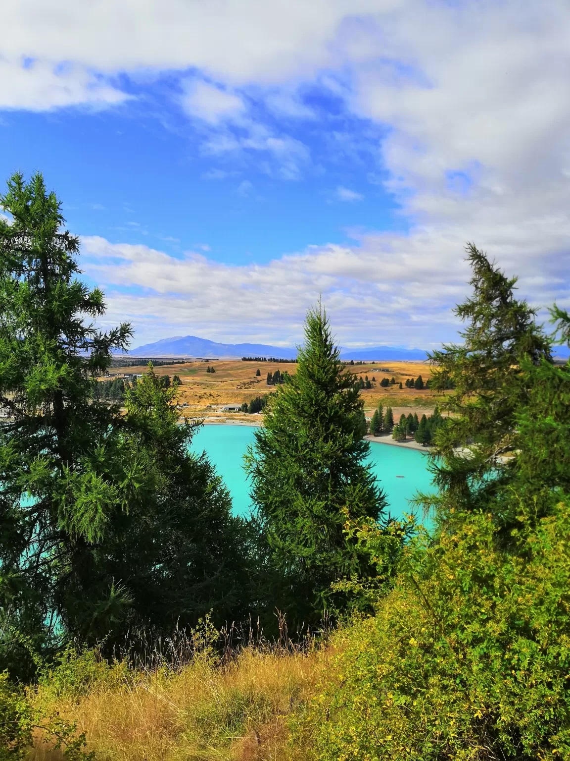 Photo of New Zealand By Abhirup Paul
