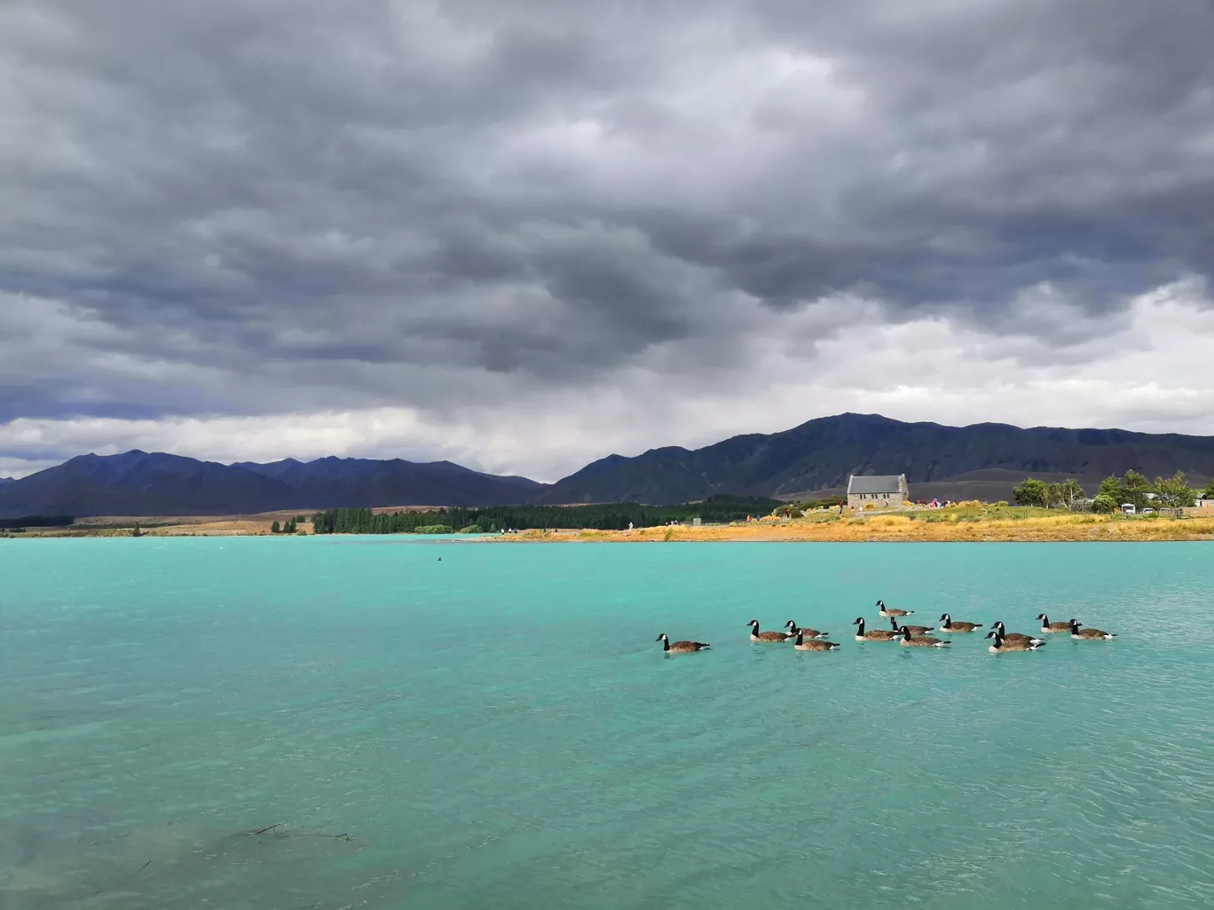 Photo of New Zealand By Abhirup Paul