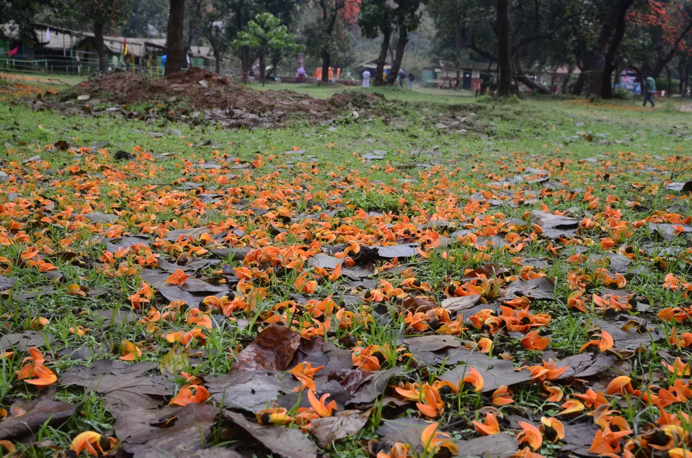 Photo of Purulia By Sourav Mukherjee