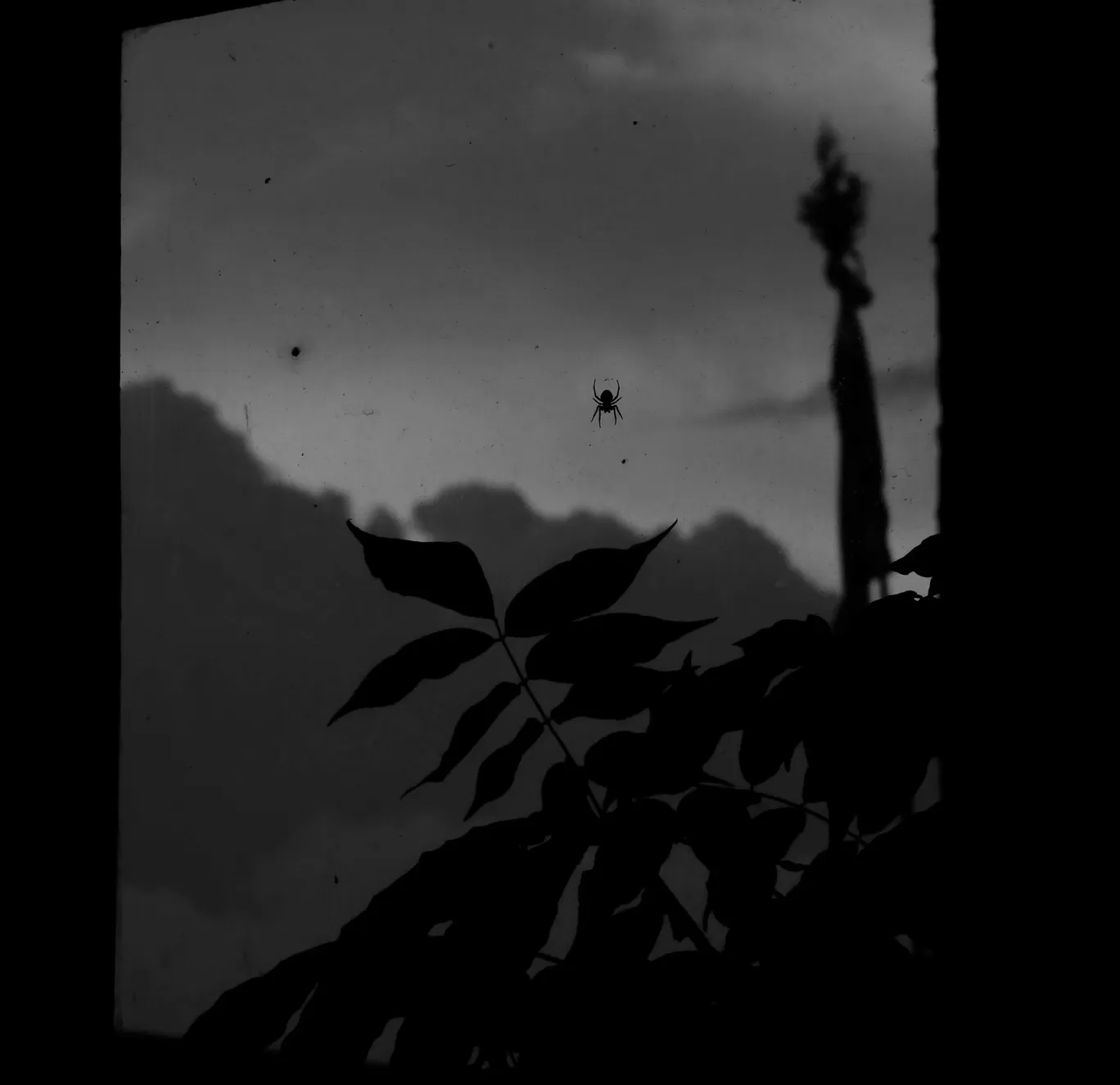 Photo of Darjeeling By Soumik Neogi
