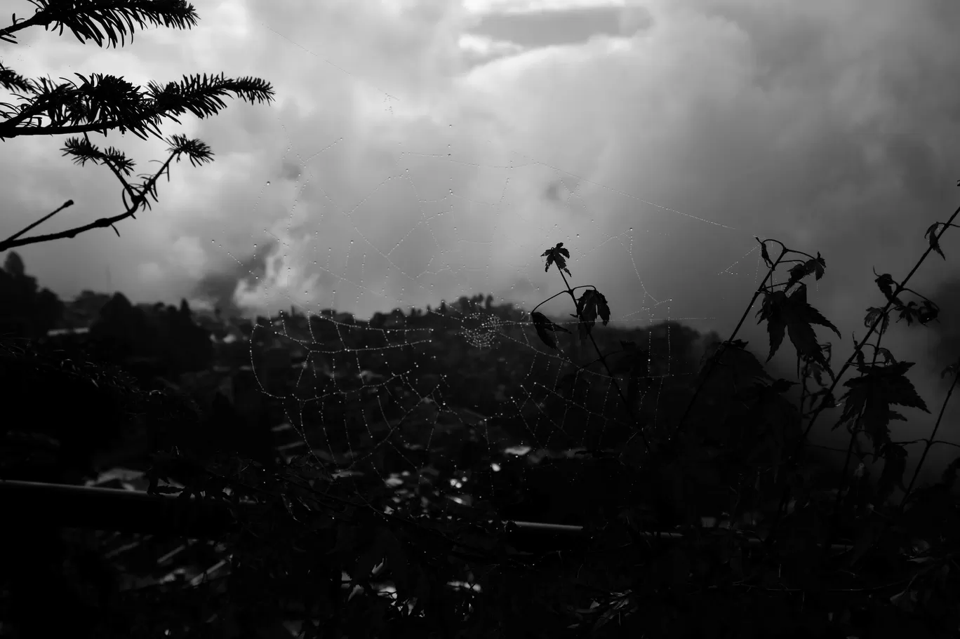 Photo of Darjeeling By Soumik Neogi