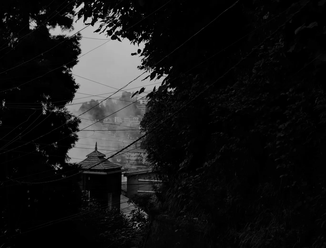 Photo of Darjeeling By Soumik Neogi