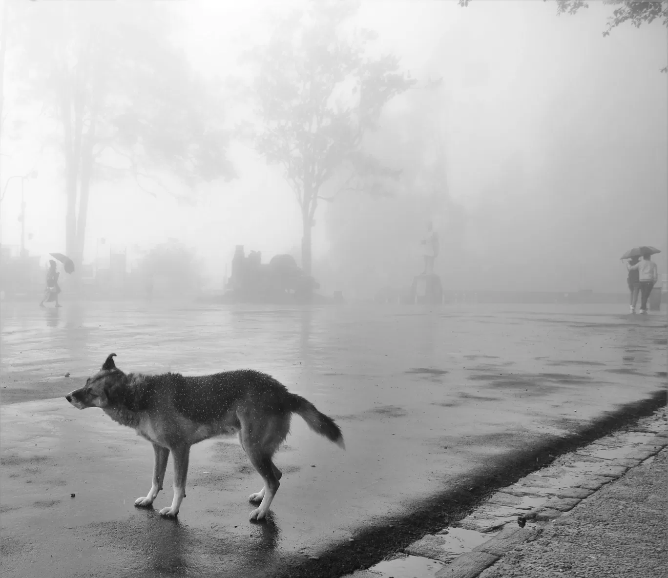 Photo of Darjeeling By Soumik Neogi