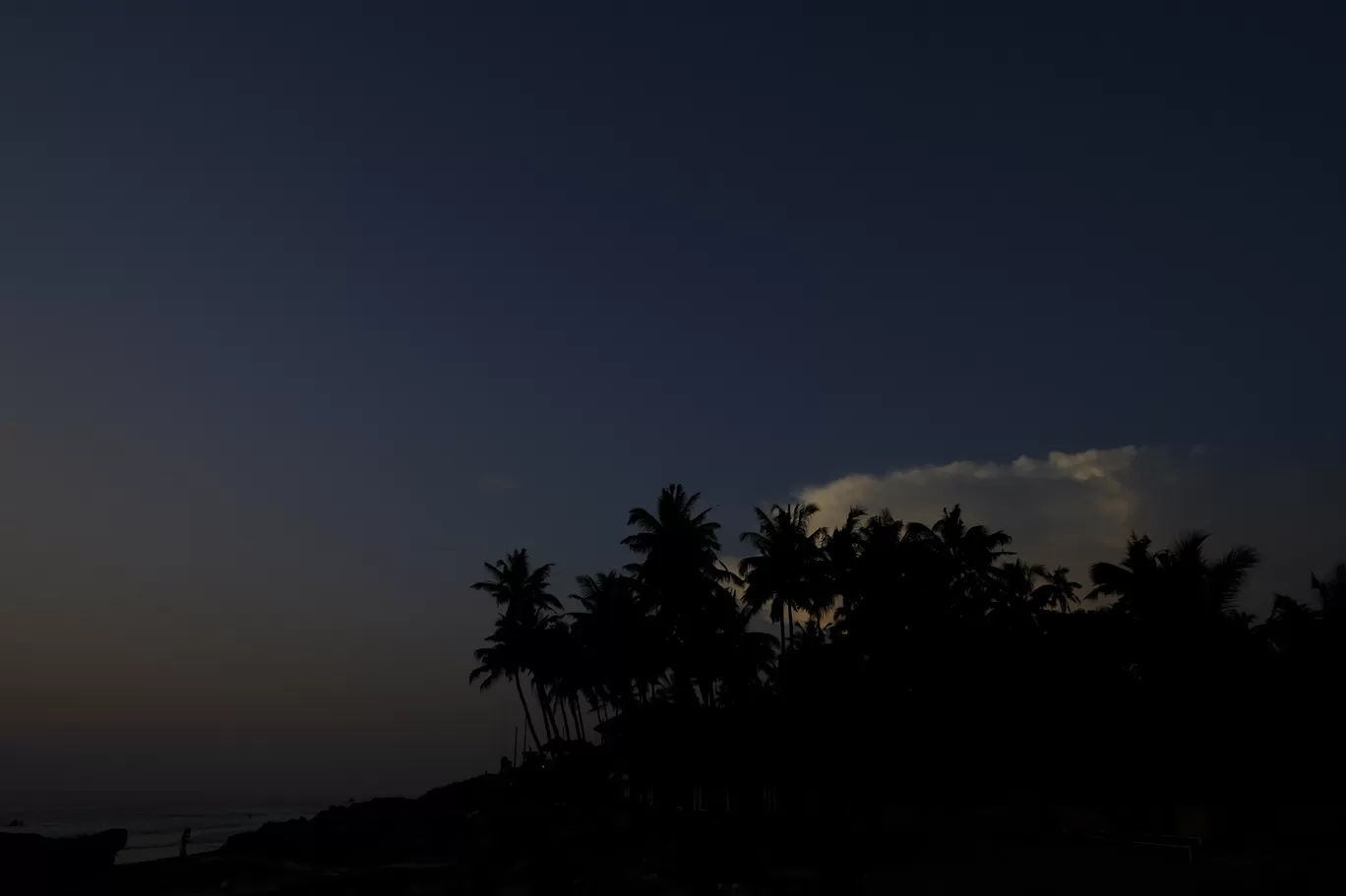 Photo of Varkala Beach By Soumik Neogi