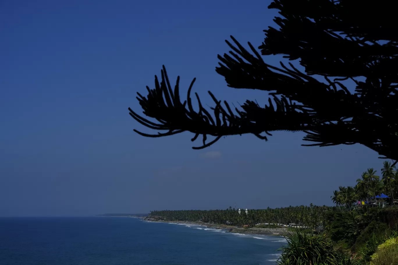 Photo of Varkala Beach By Soumik Neogi