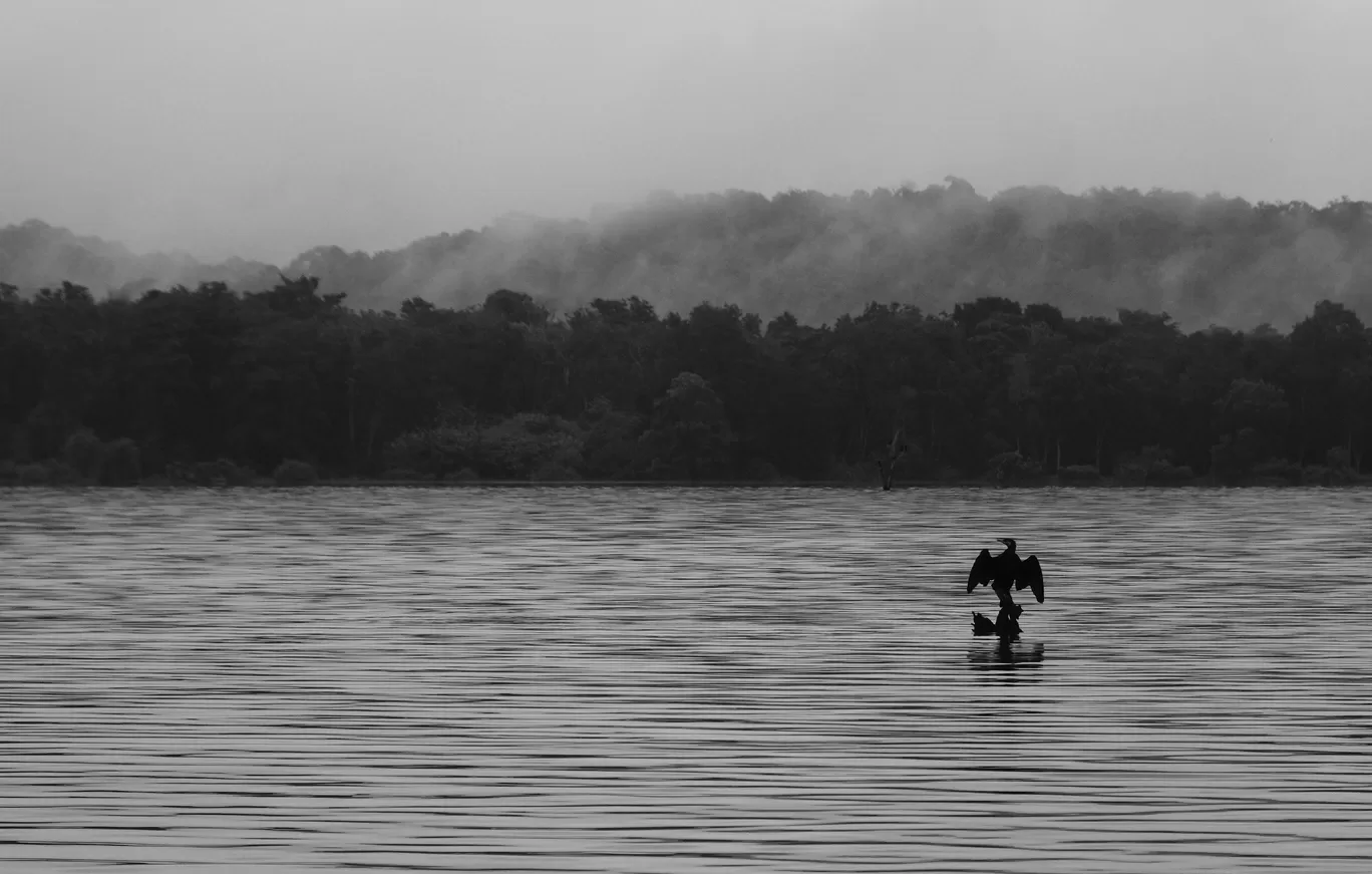 Photo of India By Soumik Neogi