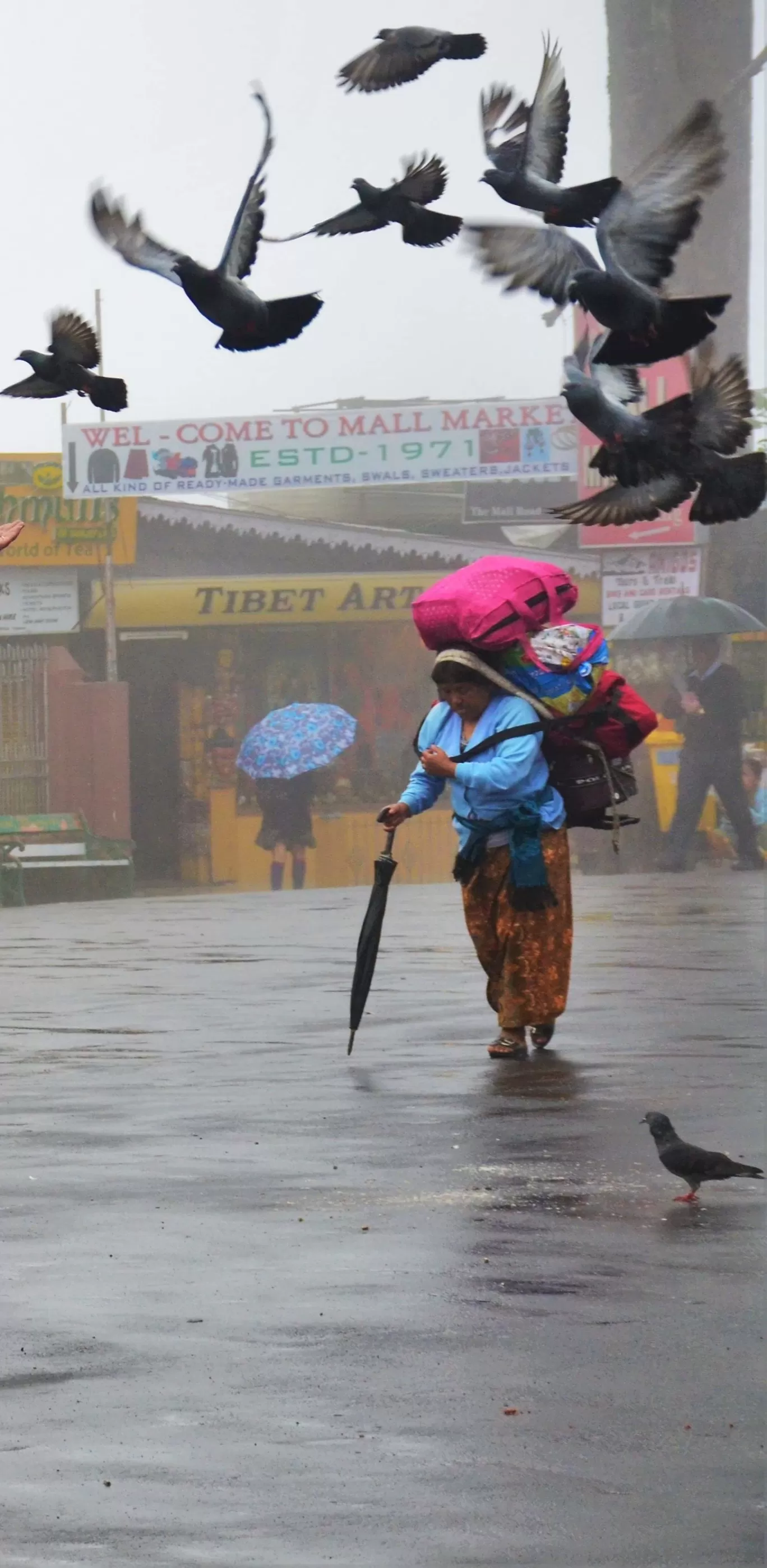Photo of India By Soumik Neogi