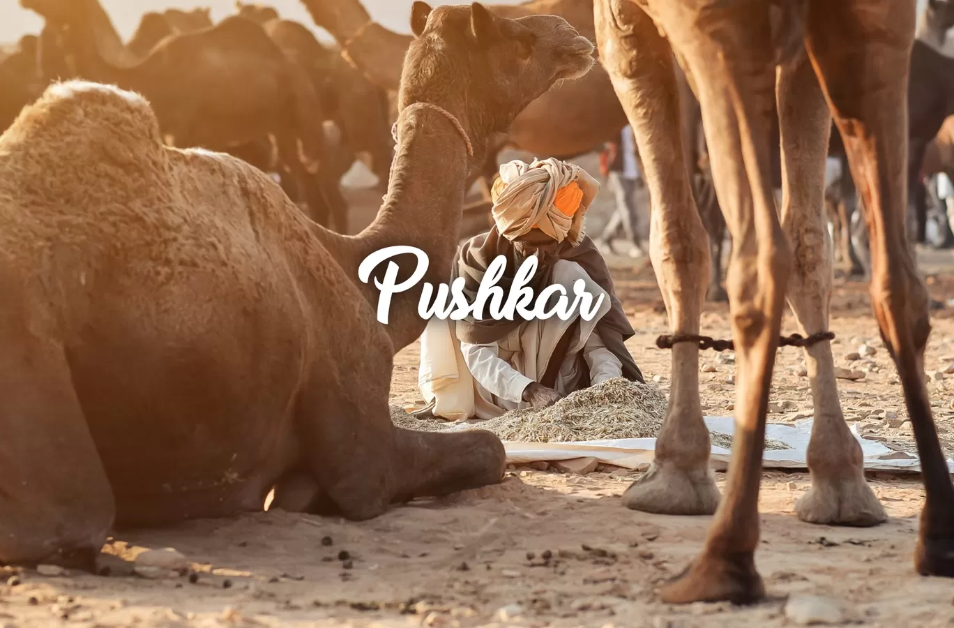 Photo of Pushkar By Roadside Traveller