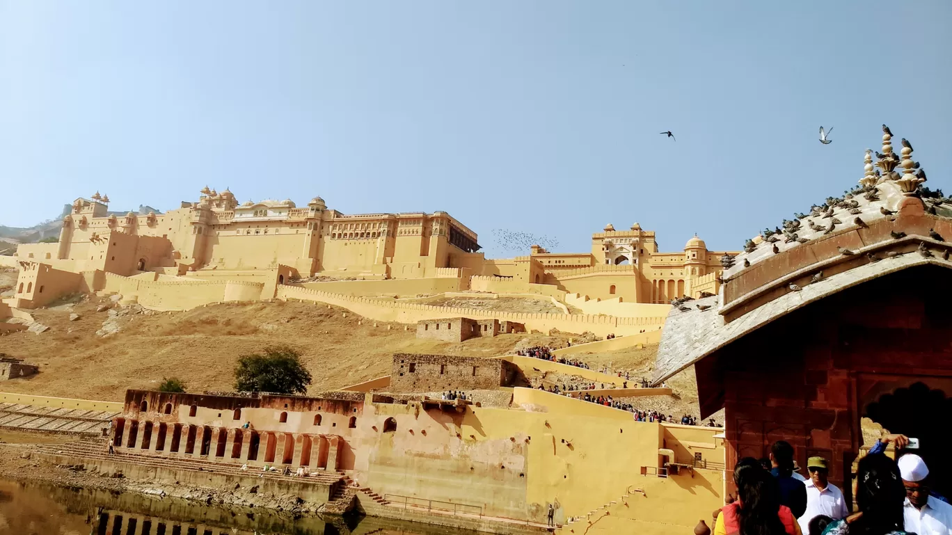 Photo of Amer Fort By Divya