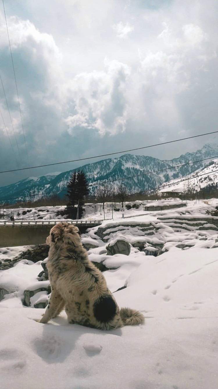 Photo of Manali By Onkar Patil