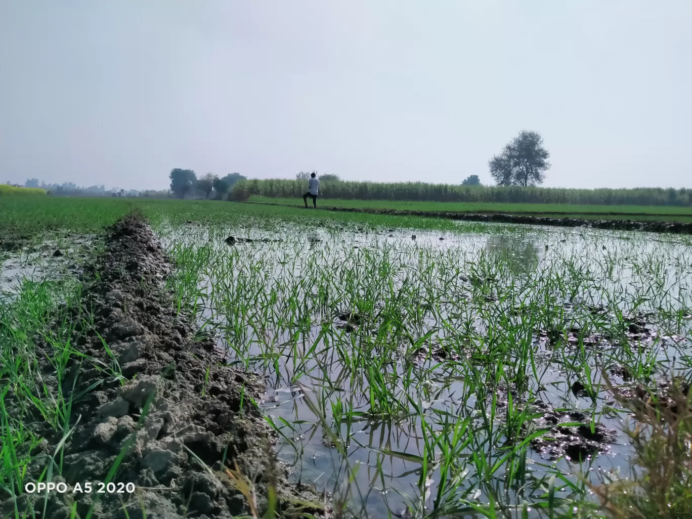 Photo of Meerut By Ashok Kumar Sambalania