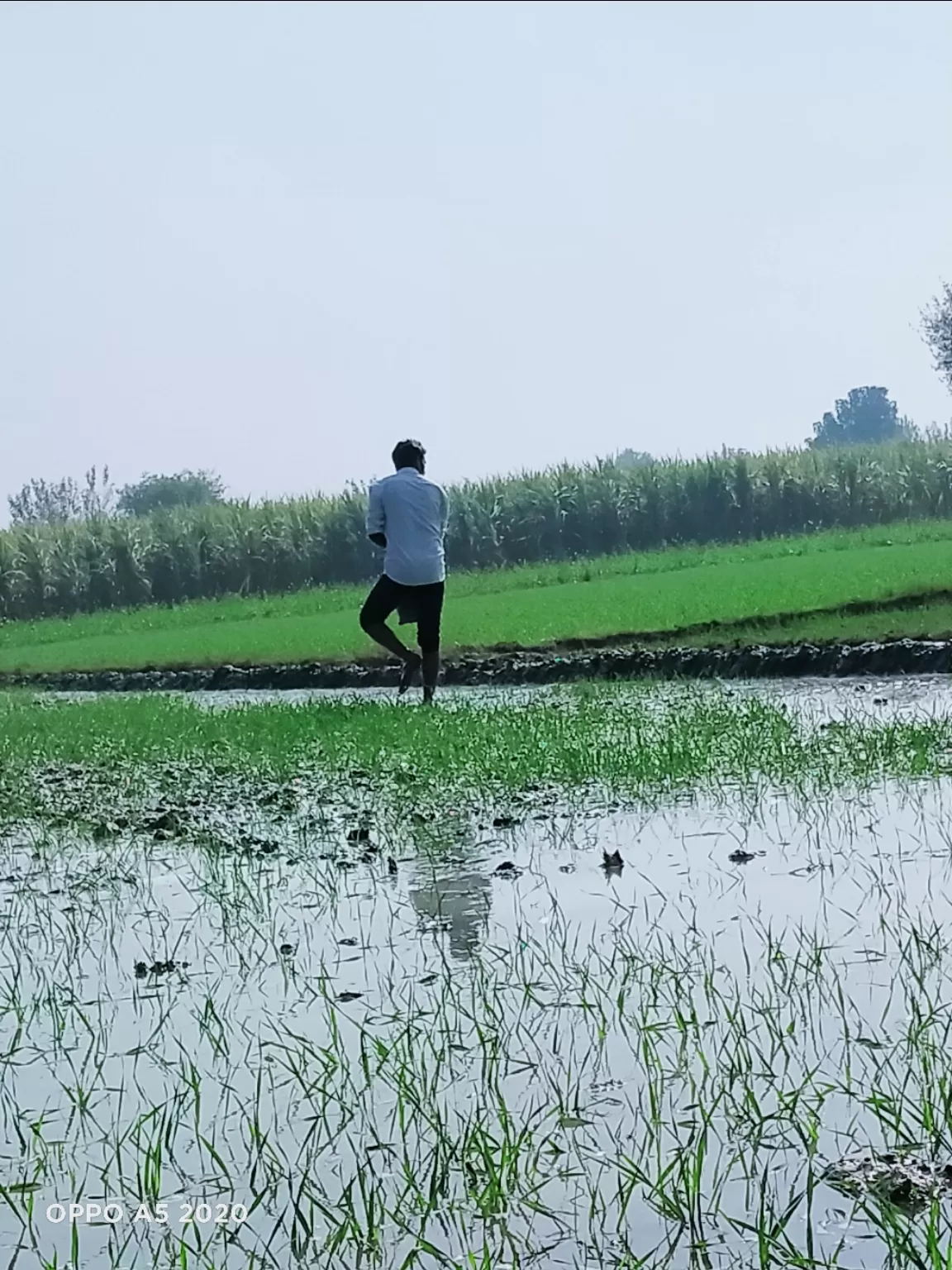 Photo of Meerut By Ashok Kumar Sambalania
