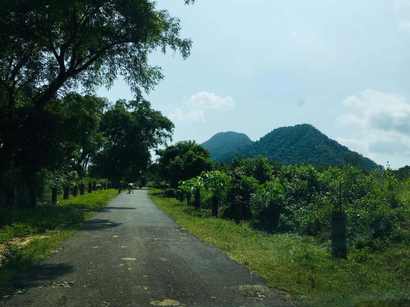 Photo of Satkosia Sands Resort By Madhu Smita