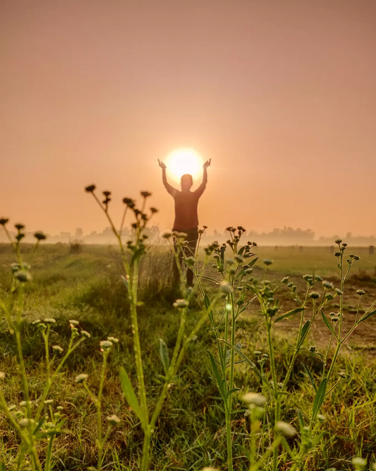 Photo of Patiala By Amit Singla