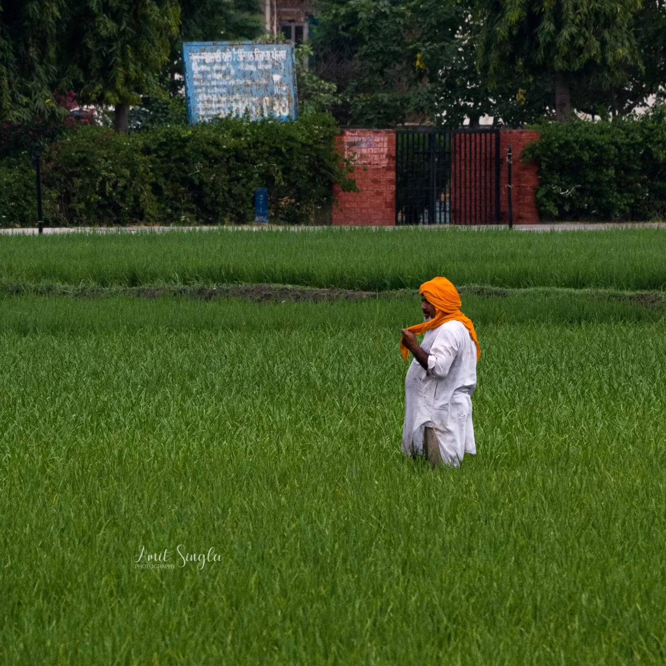 Photo of India By Amit Singla