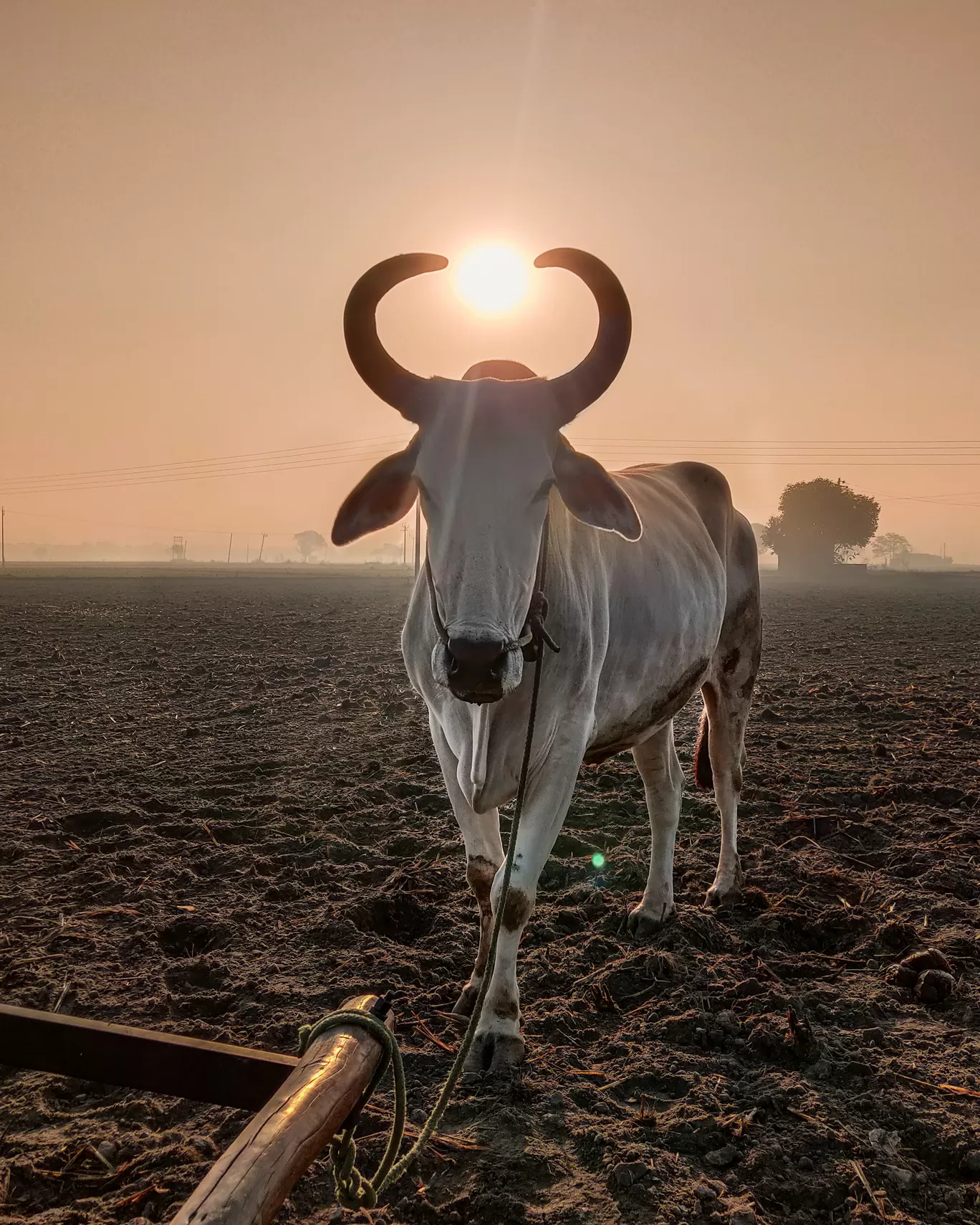 Photo of India By Amit Singla