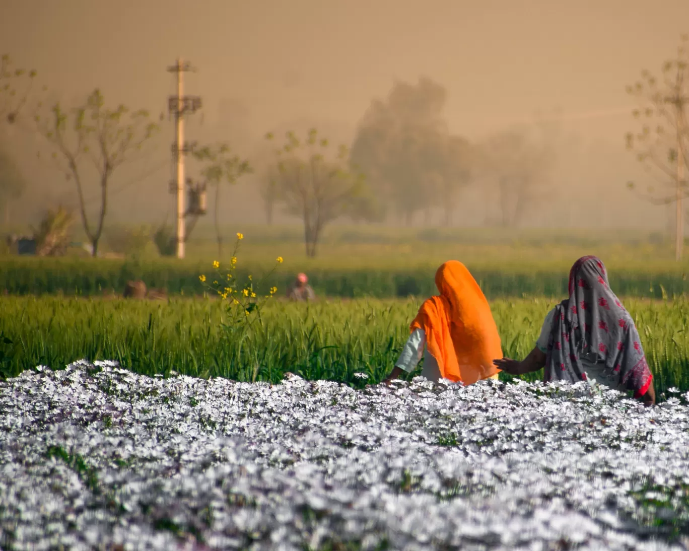 Photo of India By Amit Singla