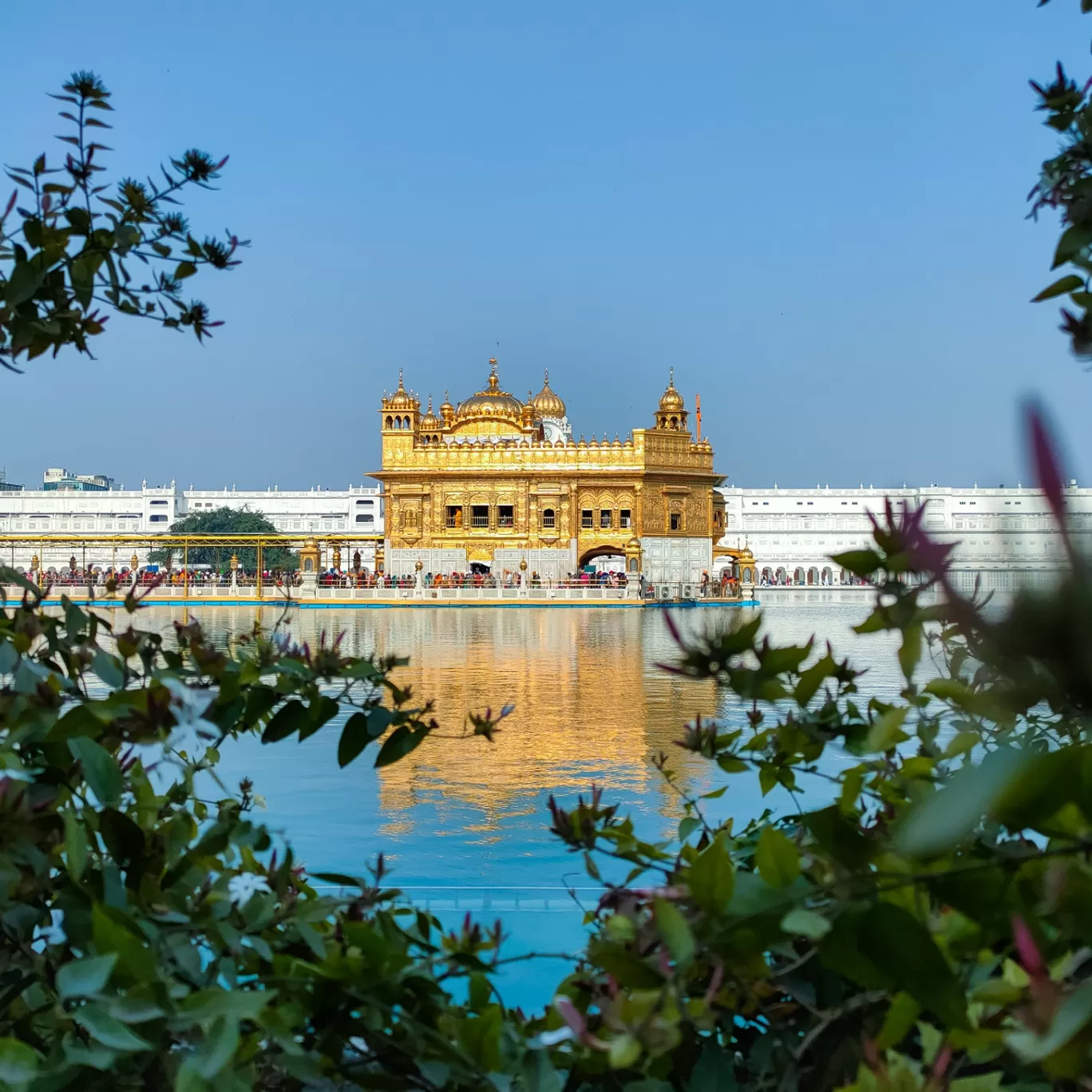 Photo of Golden Temple By Amit Singla