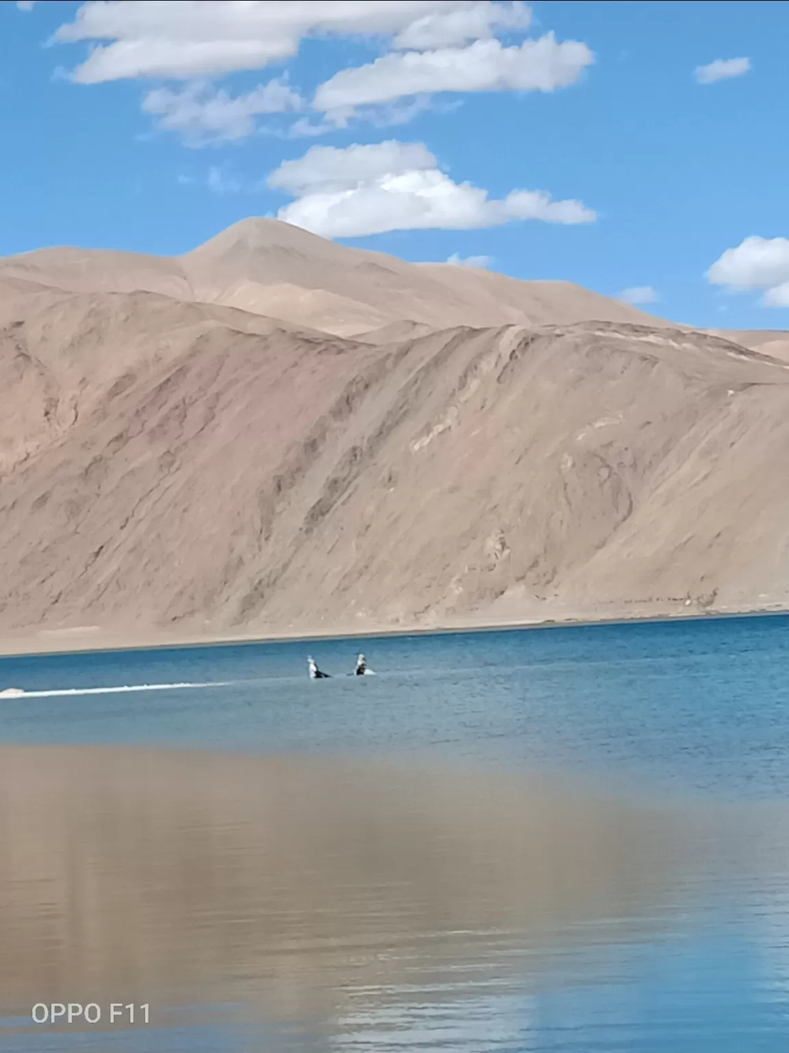 Photo of LEH LADAKH By Yogendra Kulshrestha
