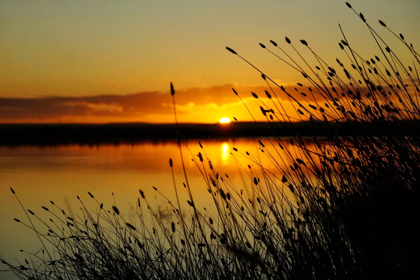Photo of Malawi Mangochi Malombe By Nandita Nanda