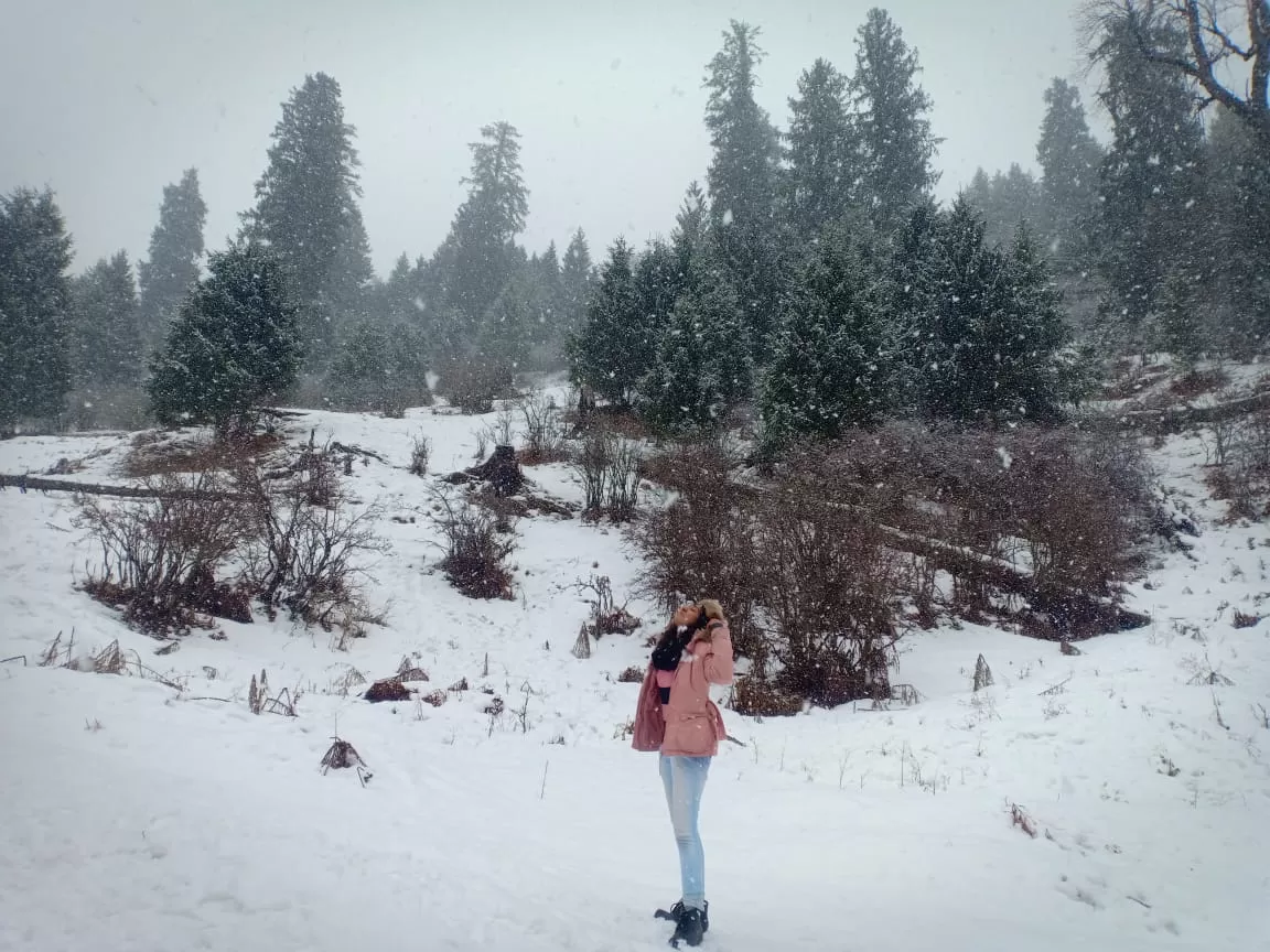 Photo of Himachal Pradesh By Nidhi Mungalpara