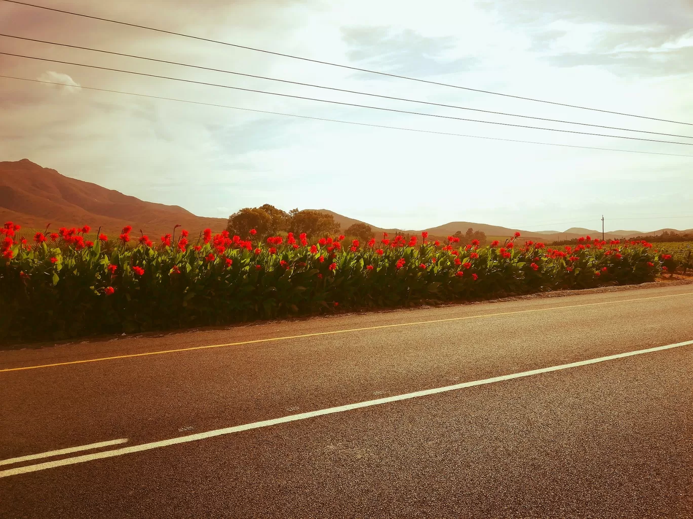 Photo of Robertson By Melissa Jones Pieterse