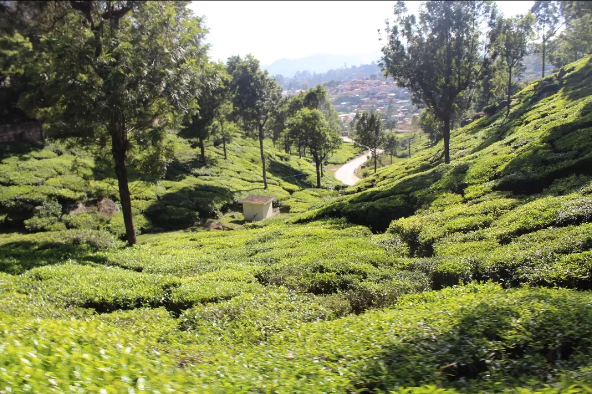 Photo of Ooty By SwapNeil Jondhale 