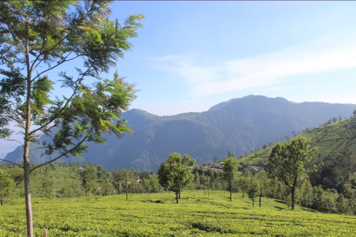 Photo of Ooty By SwapNeil Jondhale 