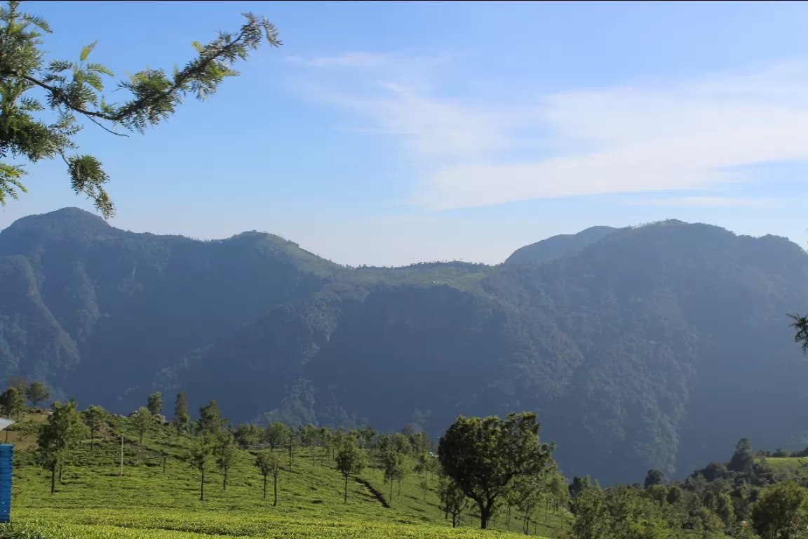 Photo of Ooty By SwapNeil Jondhale 