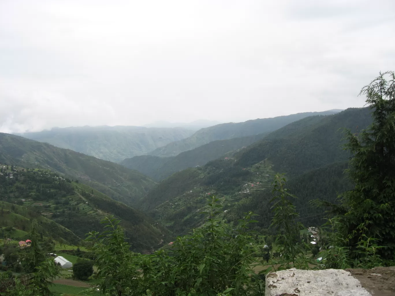 Photo of Koti By Manoo Bhatnagar