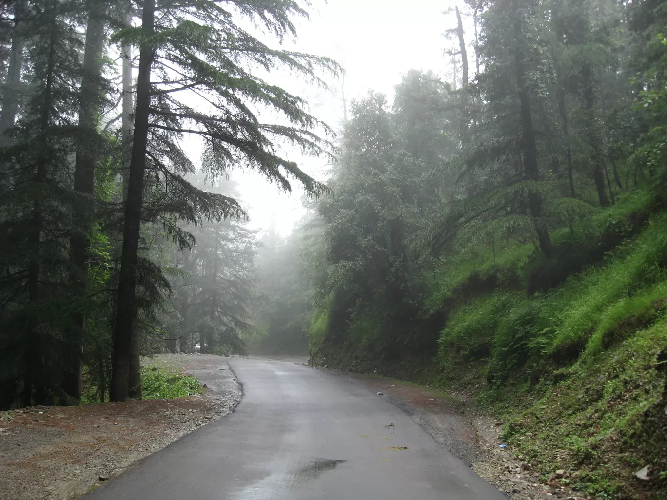 Photo of Koti By Manoo Bhatnagar