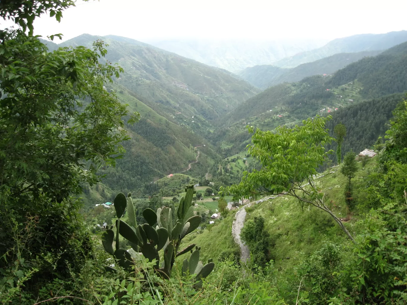 Photo of Koti By Manoo Bhatnagar