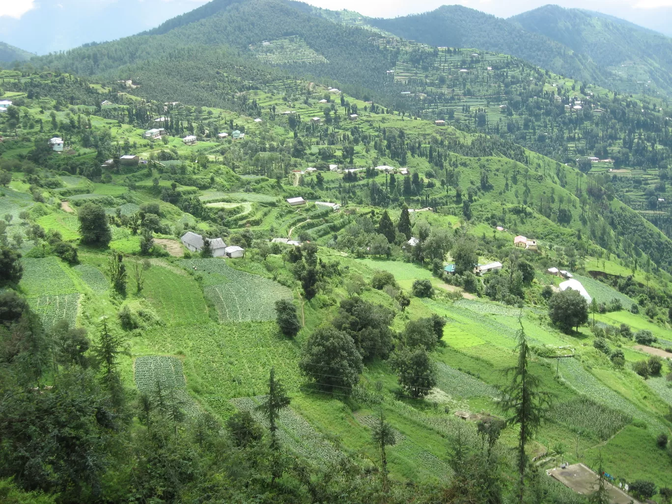 Photo of Koti By Manoo Bhatnagar