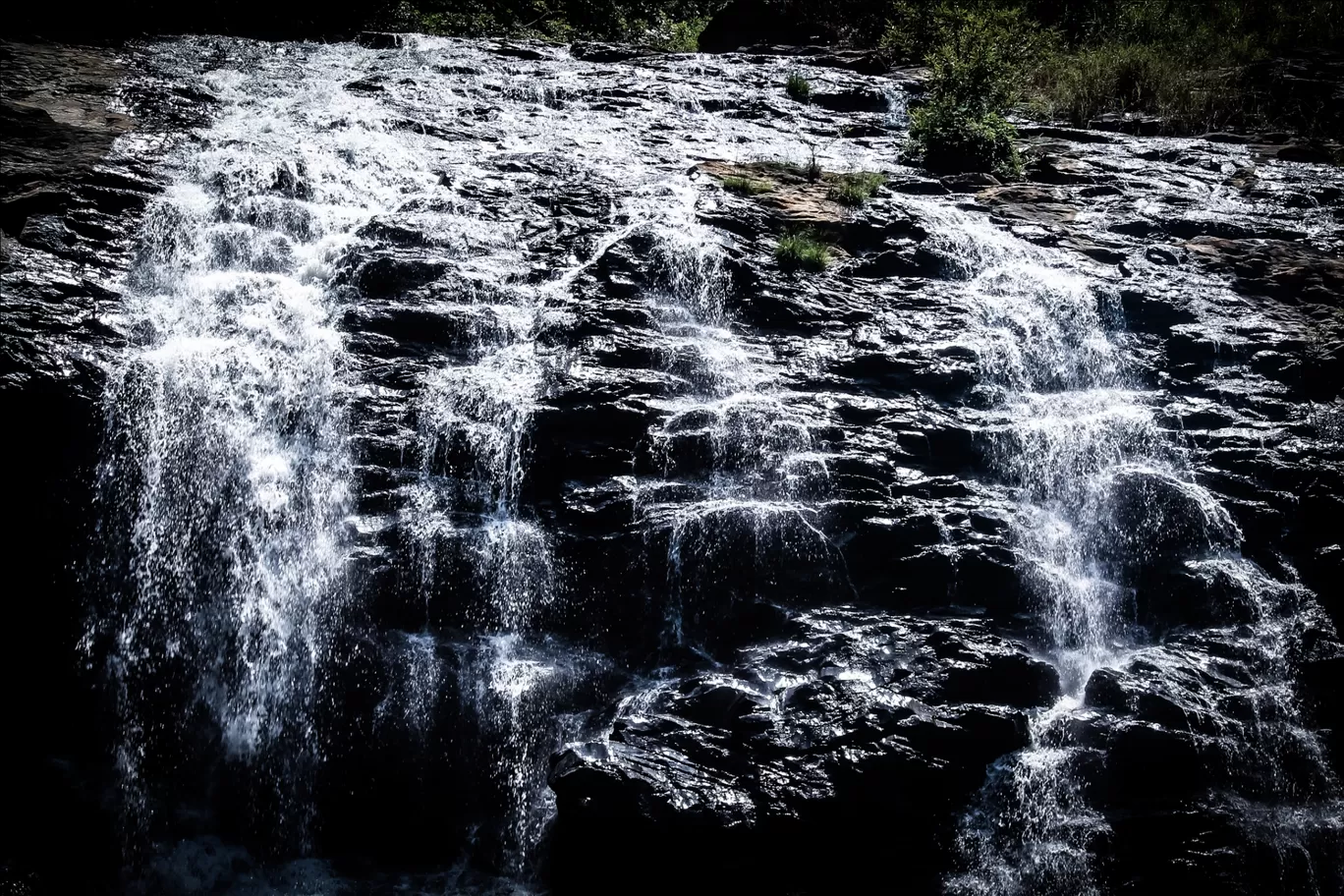 Photo of Chikmagalur By Dattu kumar Ramgol