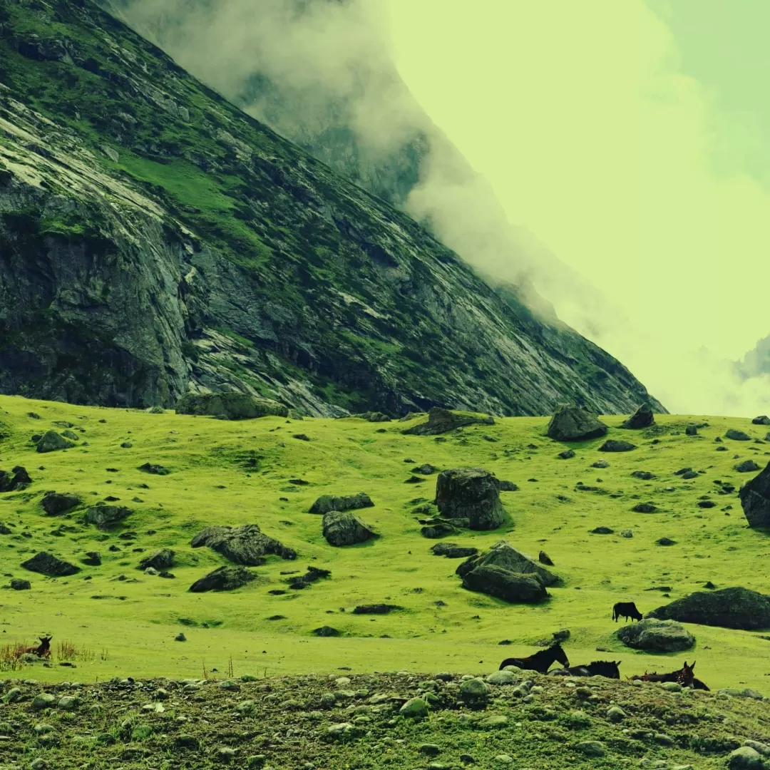 Photo of Almora By RaJesh Negi